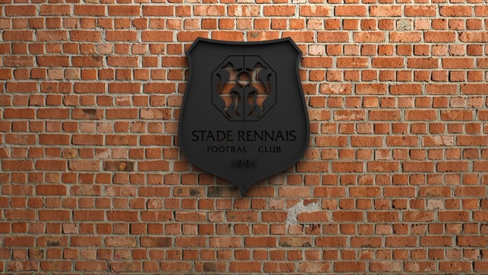 stade rennes fc logo iğne şekli hedef 3d print model - Mito3D