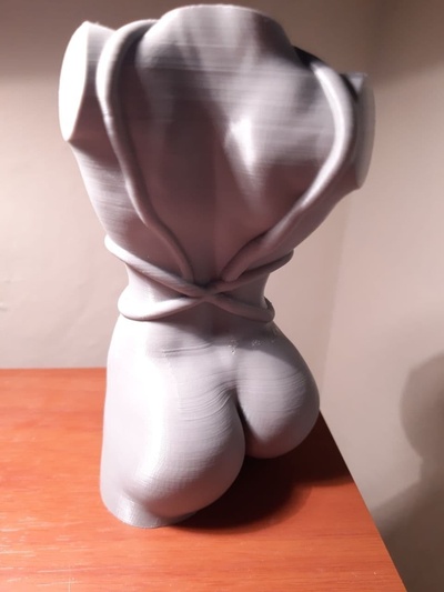 bdsm torso pinshape 18+ 3d print model - Mito3D