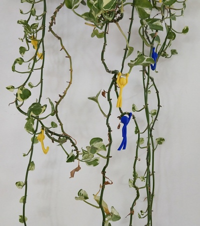 pequeno plantas alfinete decorações 3d print model - Mito3D