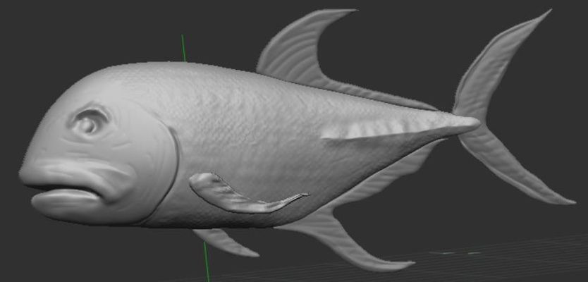 gt fish pinshape 3d print model - Mito3D