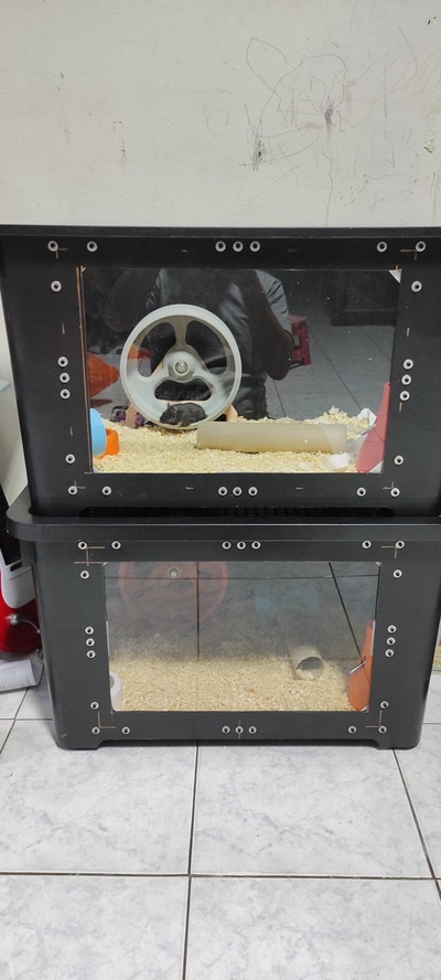 200 mm hamster rad pinshape 3d print model - Mito3D