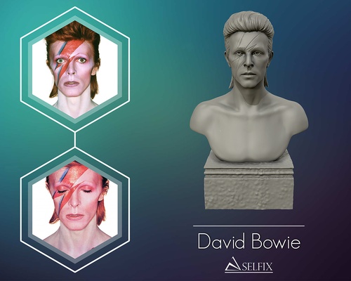 david bowie 3d escultura forma alfiler bowie 3d print model - Mito3D
