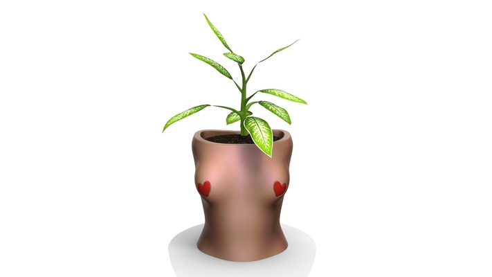 woman pot 3 - stl 3d printing pinshape planter 3d print model - Mito3D