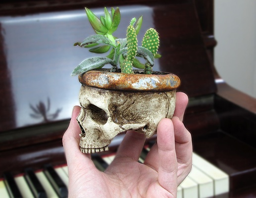 screw skull - mini vase pinshape 3d print model - Mito3D