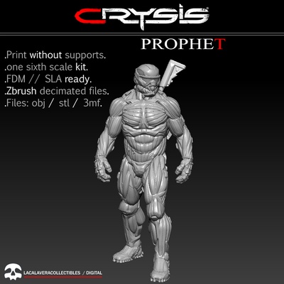 prophet one sixth scale kit pinshape crysis 3d print model - Mito3D