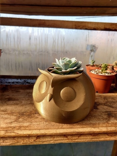 owl planter pinshape 3d print model - Mito3D