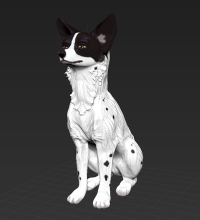 basenji hund sitzung pinshape 3d print model - Mito3D