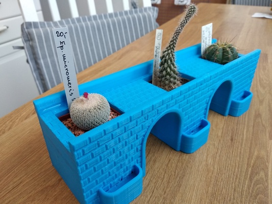 blume topf bridge kaktus sukkulenten pinshape brücke 3d print model - Mito3D