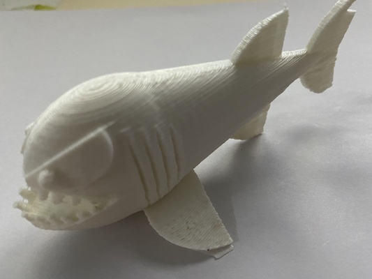 piraña forma alfiler pez 3d print model - Mito3D