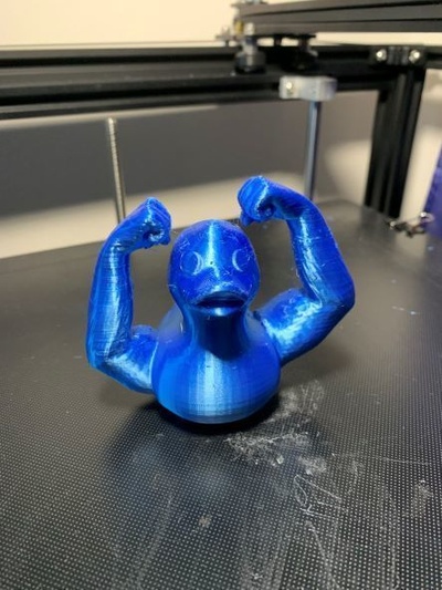 buff duck pinshape 3d print model - Mito3D