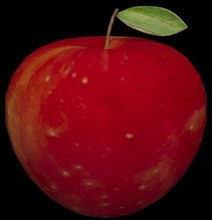 apple pinshape kırmızı 3d print model - Mito3D