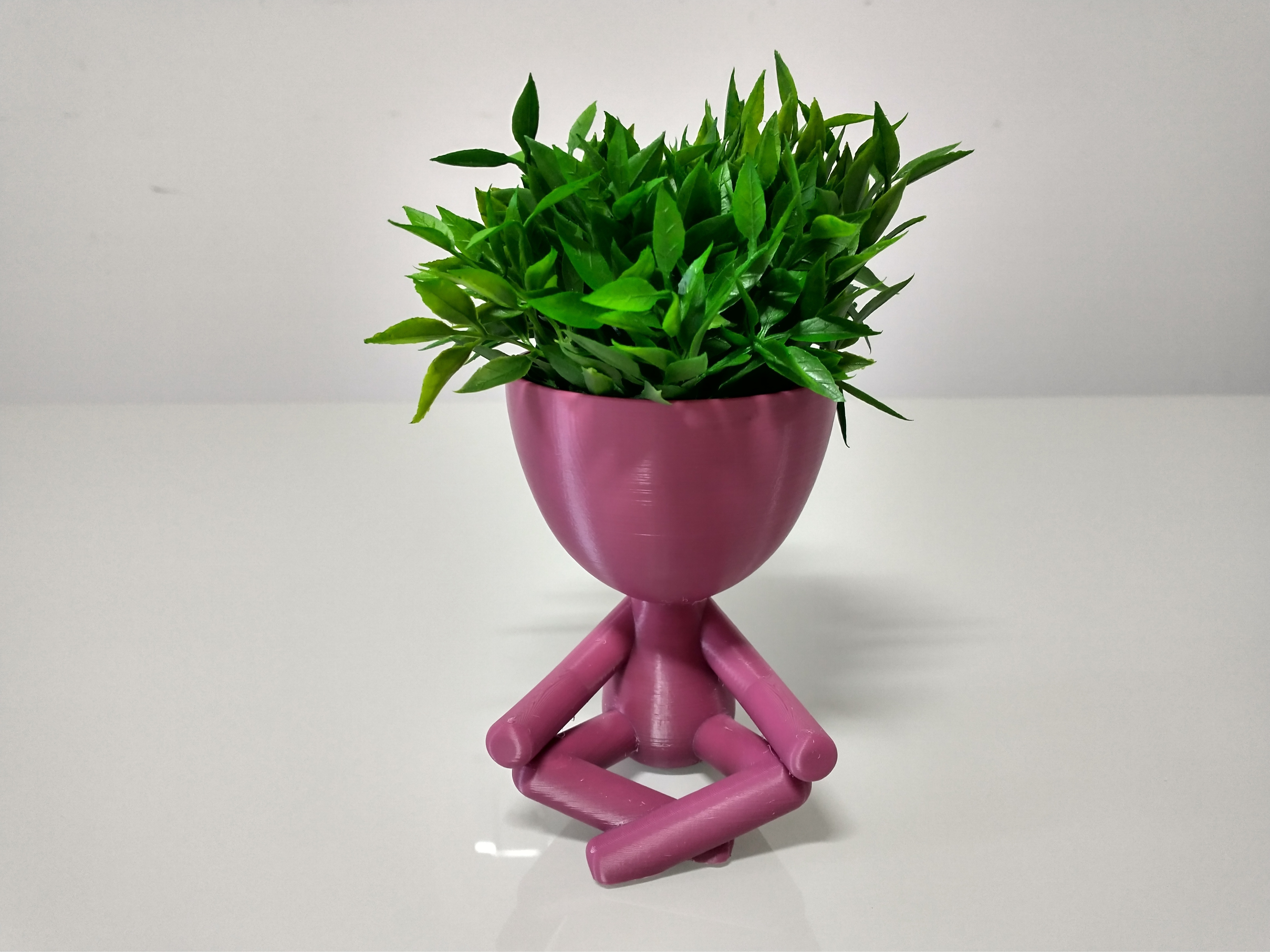 robert plante méditer vase planteur forme d'épingle robert plant 3D print model - Mito3D