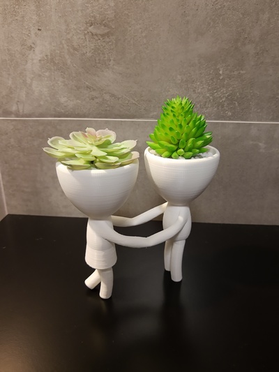 robert bitki çift vazo ekici iğne şekli robert plant 3d print model - Mito3D