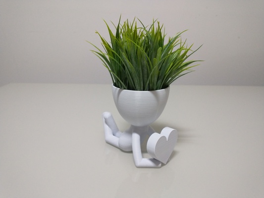 robert planta maceta florero plantador forma alfiler plant 3d print model - Mito3D