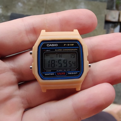 casio f91w durum kılıf yarasa kulaklar tasarım iğne şekli casio a158 3d print model - Mito3D