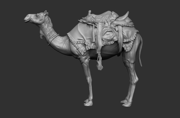 arabian camel pinshape 3d print model - Mito3D