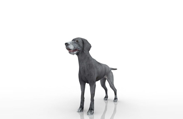 perro 3d modelo forma alfiler dog 3d print model - Mito3D