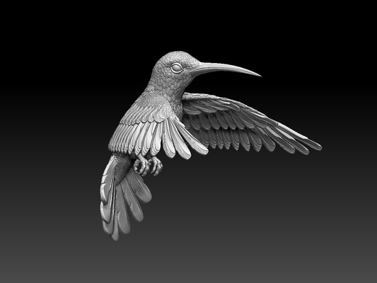 kolibri summend vogel pinshape 3d print model - Mito3D