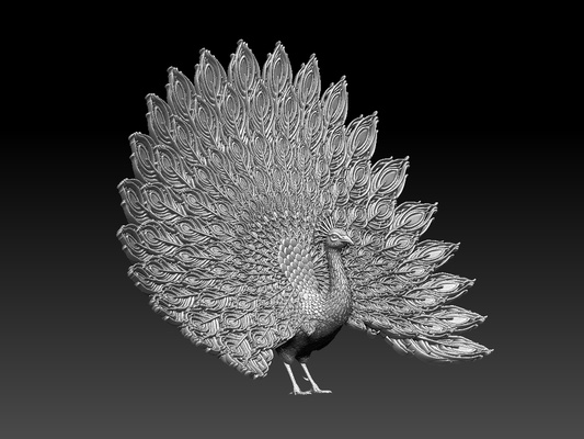 peacock pinshape 3d print model - Mito3D