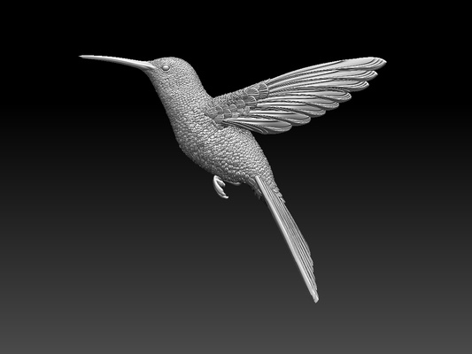 kolibri summend vogel pinshape 3d print model - Mito3D