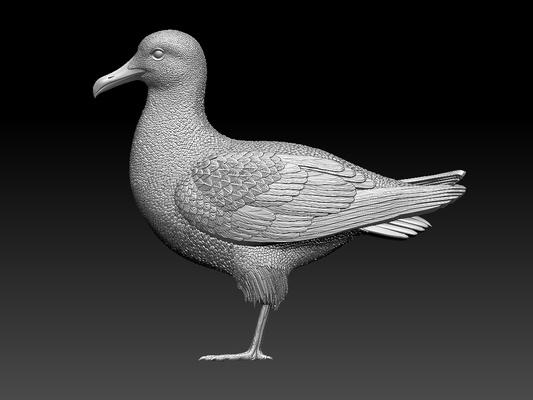 gaivota alfinete 3d print model - Mito3D