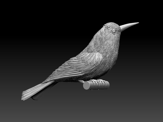 bee eater alfinete 3d print model - Mito3D