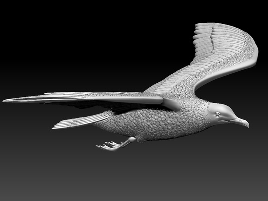 gaivota alfinete 3d print model - Mito3D