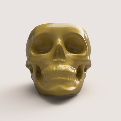 scull pinshape 3d print model - Mito3D