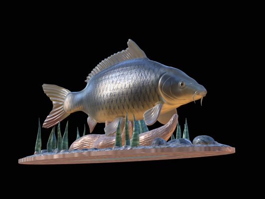 carp 20 underwater statue detailed pinshape perch 3d print model - Mito3D