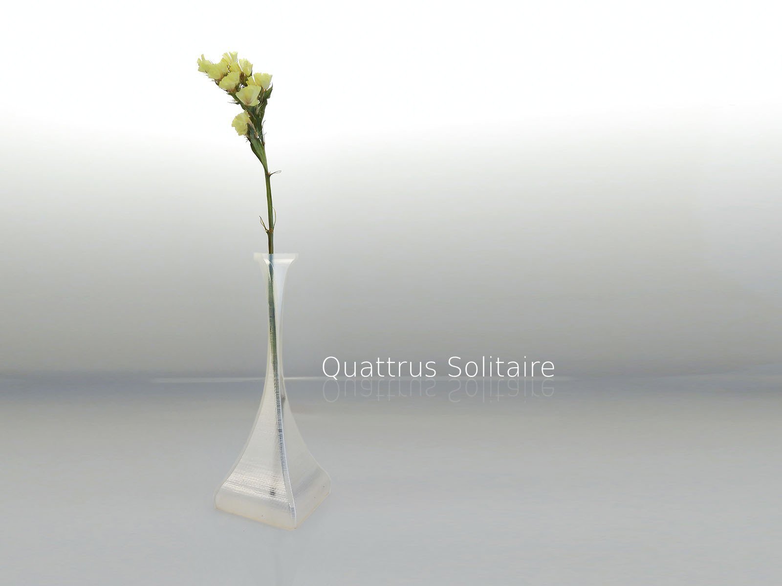 quattrus solitario pinshape decorazione solitaire eiffel vaso in modalità 3D print model - Mito3D