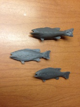 peces pinshape scan pescado 3d print model - Mito3D
