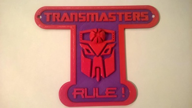 transmasters regola segno pinshape travestimento i robot massimo predicon masters matrix decepticon autobot trasformatori 3d print model - Mito3D