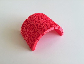 cerebro curva pinshape Diseño 3d 3d print model - Mito3D
