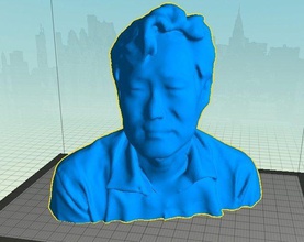 person pinshape 3d-design 3d print model - Mito3D
