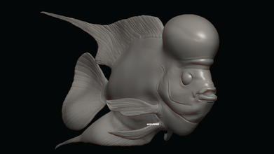 flower horn pinshape peixe 3d print model - Mito3D