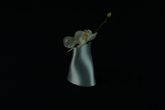 twisted vase v2 pinshape Natur Italien Haus Garten Blume design 3d drucken entworfen verdrehen primitive Linien rhino 5 print 0 2 mm Schicht Höhe 3d print model - Mito3D