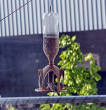mangiatoia per uccelli bottiglia in pet bird house pinshape casa tramoggia feeder bottiglie alimentatori 3d print model - Mito3D