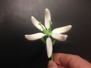 stargazer lily sıralama pinshape 3d tasarım 3d print model - Mito3D