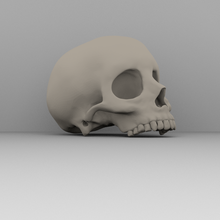real cráneo pinshape borruso scan te os grúa 3d print model - Mito3D