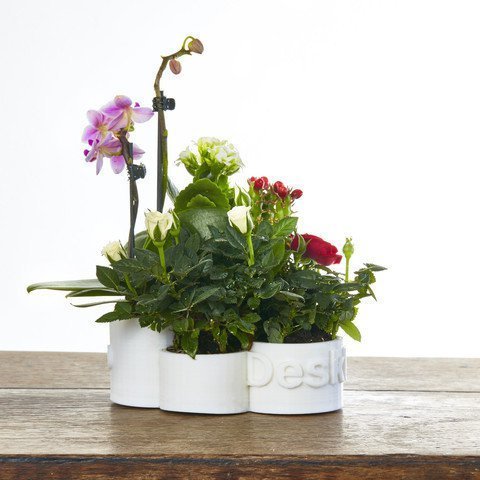 deskpot pinshape dekor masa ekici çiçek saksısı çiçekler vazo 3D print model - Mito3D