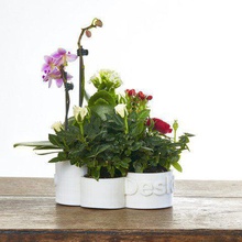 deskpot pinshape dekor desk planter flower pot flowers vases 3d print model - Mito3D