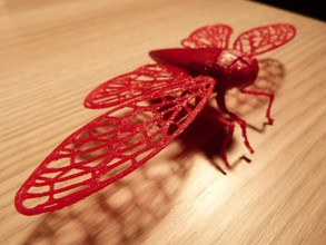 cicade art illusion pinshape cicada ruby pet+ madesolid-filament-giveaway 3d print model - Mito3D