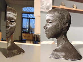life pinshape tester meshmixer poser bust head girl 3d print model - Mito3D