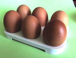 egg tray pinshape 3d-design 3d print model - Mito3D