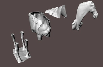cheval cassé 4 pièces pinshape Conception 3d 3d print model - Mito3D