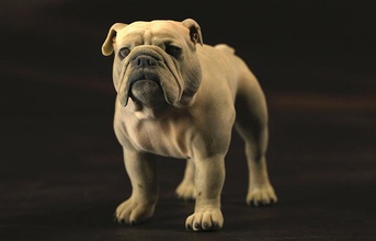 bulldog xxl boyutu pinshape köpek hayvan oyuncak 3d print model - Mito3D