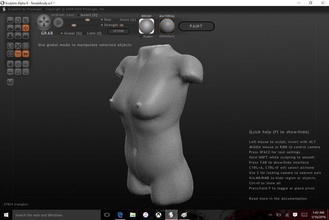 corpo feminino pinshape 3d design 3d print model - Mito3D