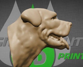 rottweiler testa cane pinshape 3d print model - Mito3D
