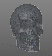 skull pinshape 3d-design 3d print model - Mito3D