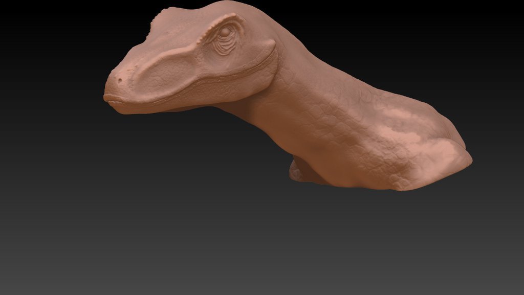 velociraptor testa pinshape disegno 3d 3D print model - Mito3D